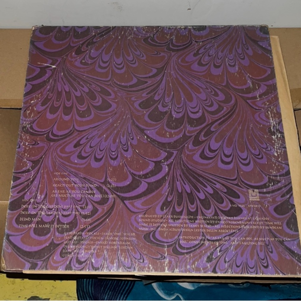 Gypsy InThe Garden Vintage Vinyl Record 1971 - Picture 13 of 13